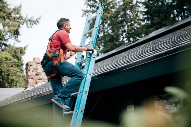 Best Roof Coating and Sealing  in Macom, IL