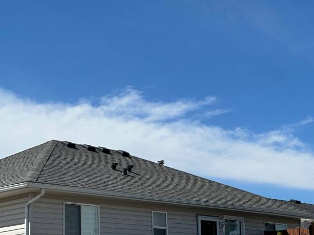 Professional Roofing Service in Macom, IL
